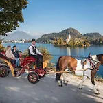 Tourist House Capricorn Homestay Bled