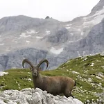 Tourist House Capricorn Homestay