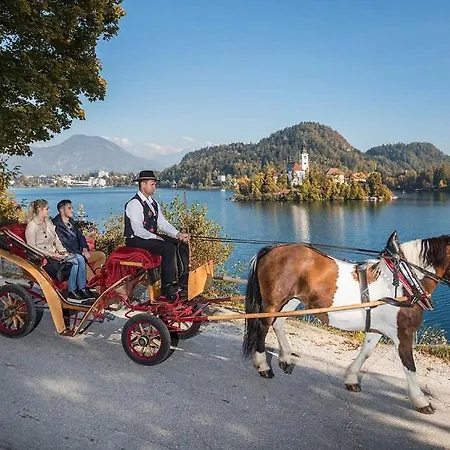 Tourist House Capricorn Δωμάτια σε οικογενειακή κατοικία Μπλεντ