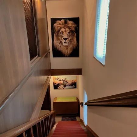 Δωμάτια σε οικογενειακή κατοικία Tourist House Capricorn Μπλεντ