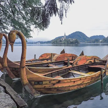 Tourist House Capricorn Bled