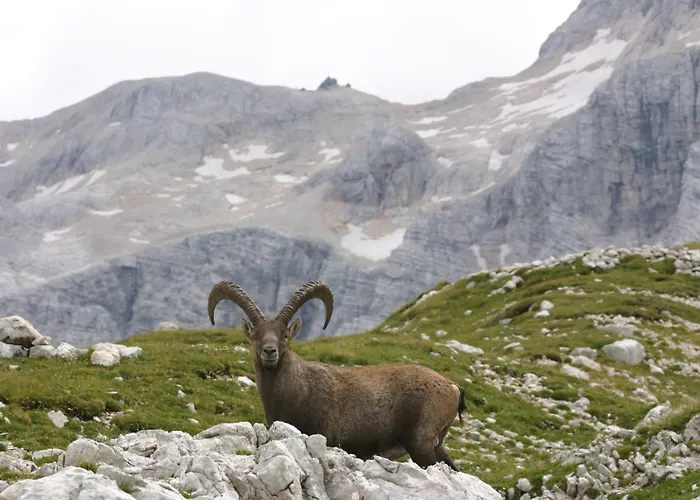 Tourist House Capricorn Accommodatie bij particulieren