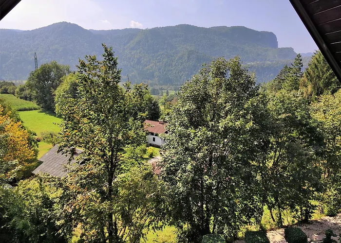 Tourist House Capricorn Bled